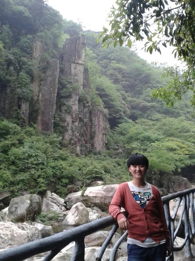 17级硕士-李欣研-钠离子电池