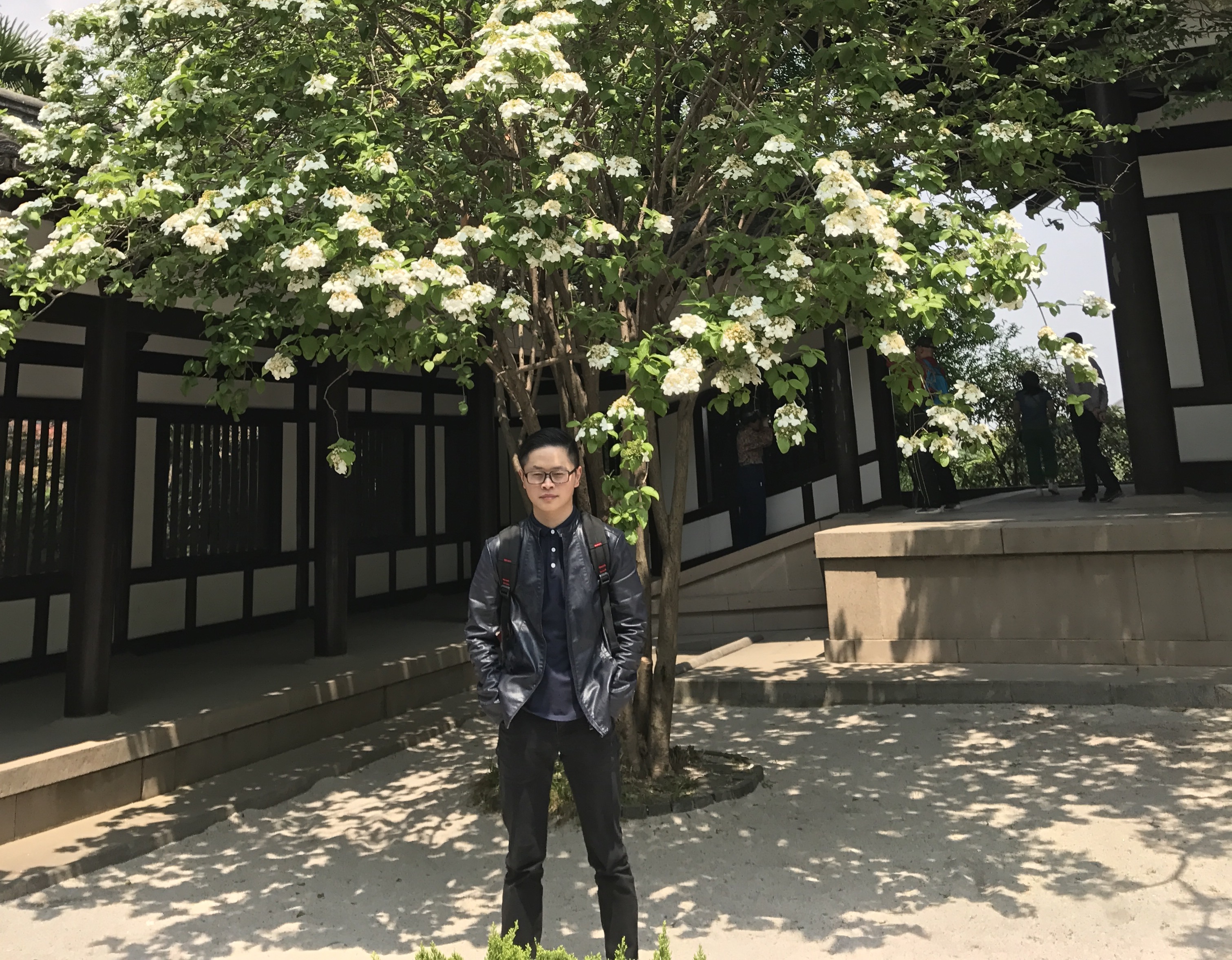 17级硕士-刘中泽-钙钛矿电池